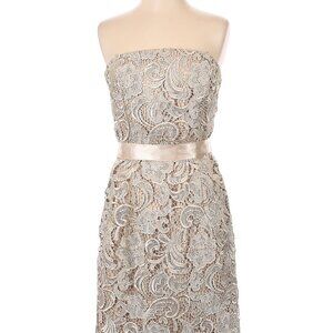 Adrianna Papell Lace Strapless Dress